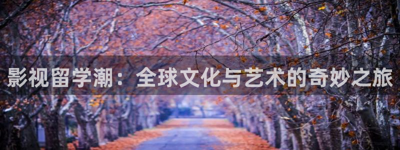 三级电影网午夜：影视留学潮：全球文化与艺术的奇妙之旅