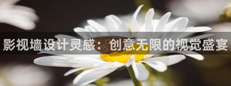 午夜理论在线电影：影视墙设计灵感：创意无限的视觉盛宴